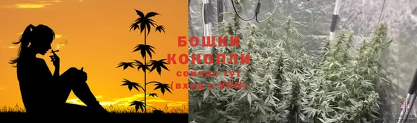спиды Медвежьегорск