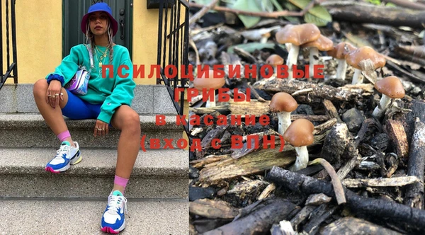 соль курить ск Богданович