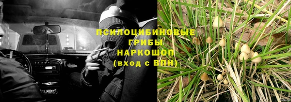 спиды Медвежьегорск