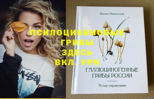 мдма Мегион
