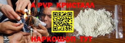 СК Краснокаменск