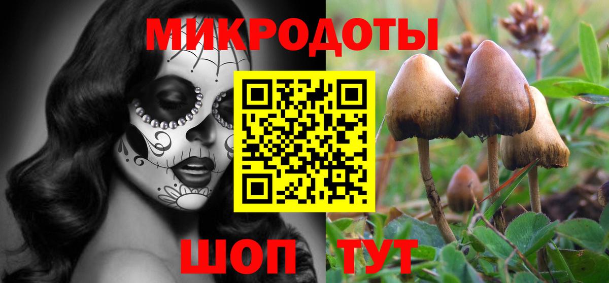 Галлюциногенные грибы Psilocybe Чебаркуль